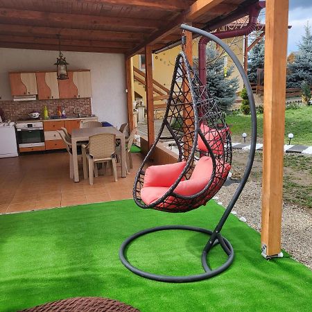Vila Ana Cu Terasa Gratar Si Jacuzzi Villa Satu Mare Exterior photo