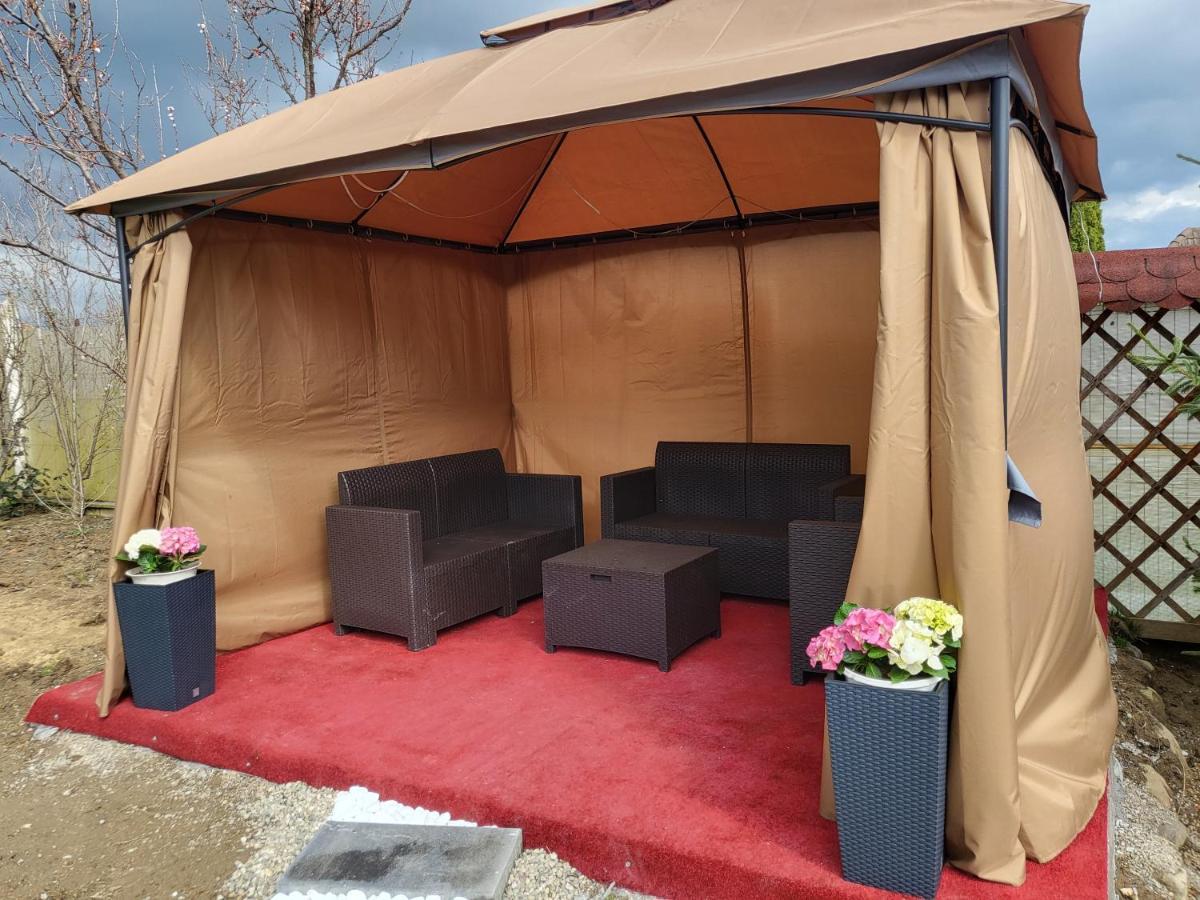 Vila Ana Cu Terasa Gratar Si Jacuzzi Villa Satu Mare Exterior photo